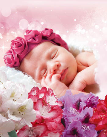 Newborn Rhododendron